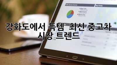 강화도에서 득템?! 😎 최신 중고차 시장 트렌드 🚗💨