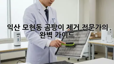 익산 모현동 곰팡이 제거 전문가의 완벽 가이드